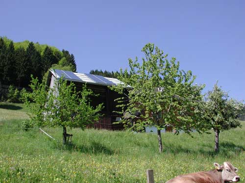 Anlage von Rinderer Ulrike